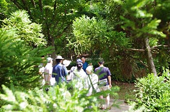 写真：樹木園見学