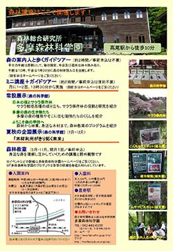 森林講座平成28年度（後期）2