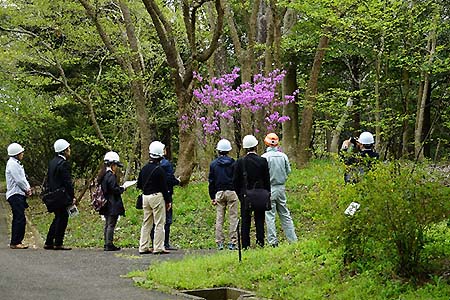 写真1：樹木園見学の様子1