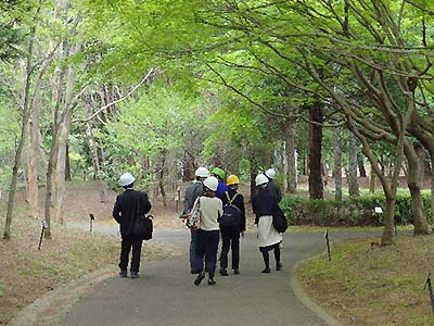 写真2：樹木園見学の様子2