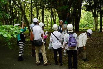 写真03：樹木園見学