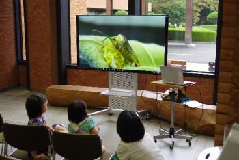 写真12：生物多様性ビデオ「生き物びっくり箱」