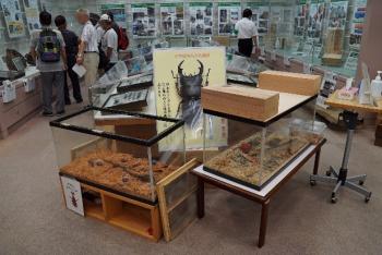 写真14：もりの展示ルーム公開