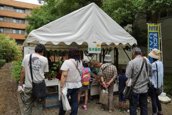 写真17：苗木のプレゼント