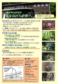 平成29年度後期森林講座チラシ裏