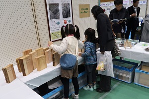 色々な木材を直接触れている様子の写真