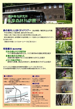 平成30年度（前期）森林講座チラシ裏の写真