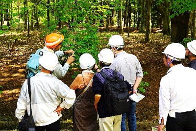 写真3：樹木園見学の様子1