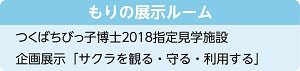 もりの展示ルームのご案内