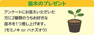 苗木のプレゼントのご案内