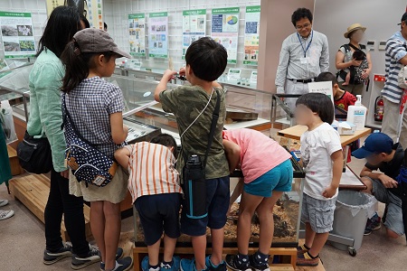 カブトムシの展示に夢中になる子供たちの様子