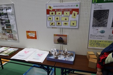 森林総研からのプレゼントの写真