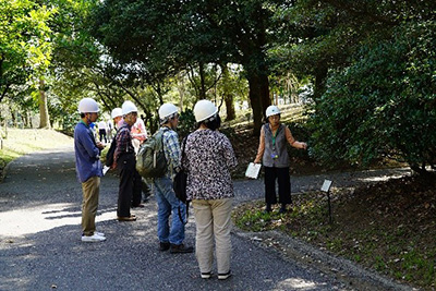 写真4：樹木園で研究員の解説を聞いている様子2