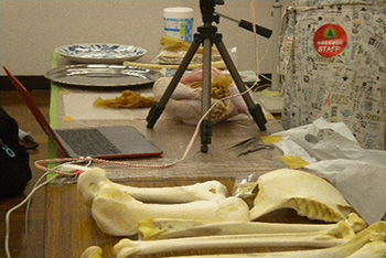 自然等とふれあうサイエンス体験の写真04