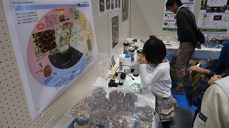 写真03：熱心に顕微鏡を覗いている様子