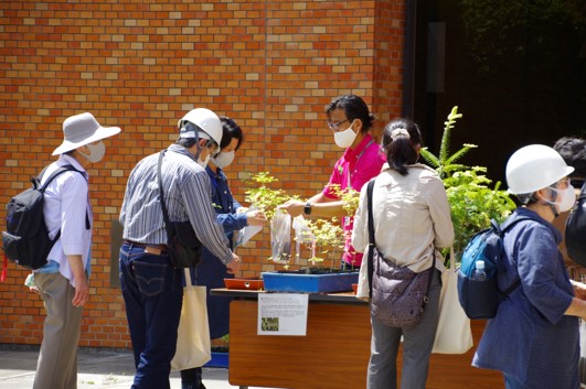 来場記念の苗木を選んでいる様子