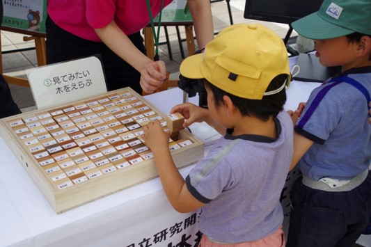 森林総研ブース内でお子さんが100種類の木のキューブから見てみたい木を1つ選んでいる様子
