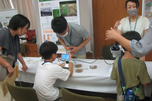 写真8.ザイセンチュウを顕微鏡で拡大して見ている写真