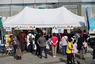 多くのご家族が森林総研のブースに訪れてにぎわっている様子