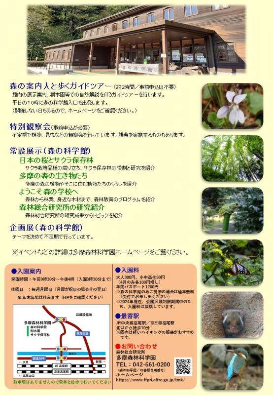 2024年度（後期）森林講座チラシ裏の写真