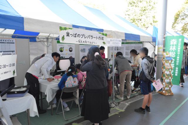 白いテーブルの上でシャリンバイの葉っぱのプレパラートを作製し、顕微鏡で観察するお客様と森林総合研究所のイベントスタッフの様子