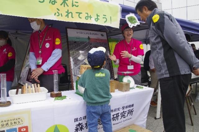 4月12日のイベント、親子で木の重さの違いを体験