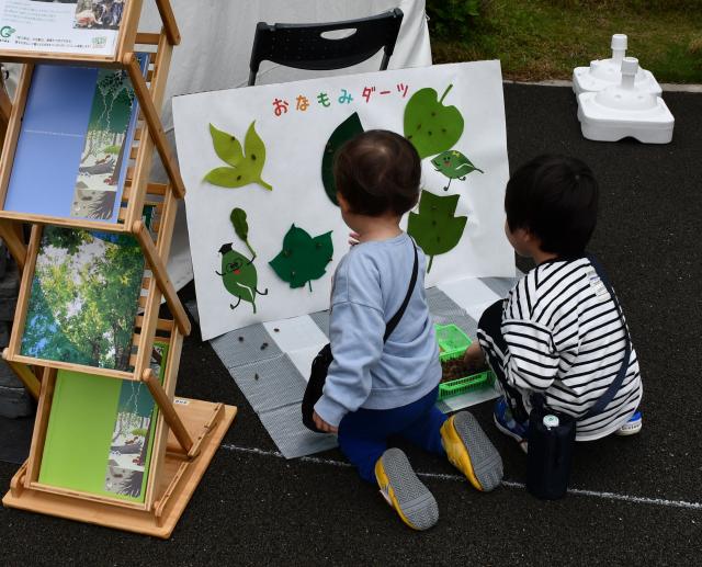 おなもみを葉っぱに見立てたフェルトの的に当てている様子