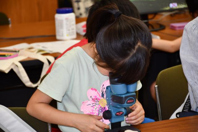 顕微鏡を調整しながら夢中になって観察している参加者