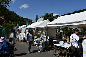 森林研究・整備機構のブース、奥から森林総合研究所、森林整備センター、森林保険センター。