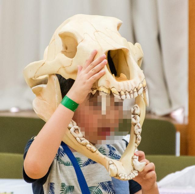 頭骨のレプリカを直に被っている参加者の写真