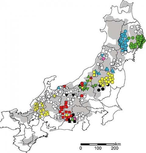 図3:ツキノワグマの遺伝タイプの分布