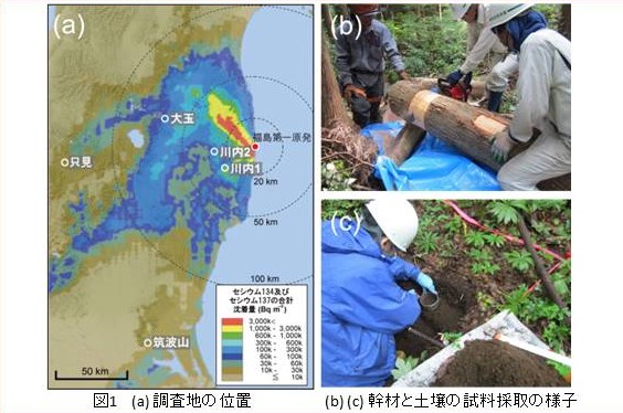 図1-調査地の位置,試料採取の様子