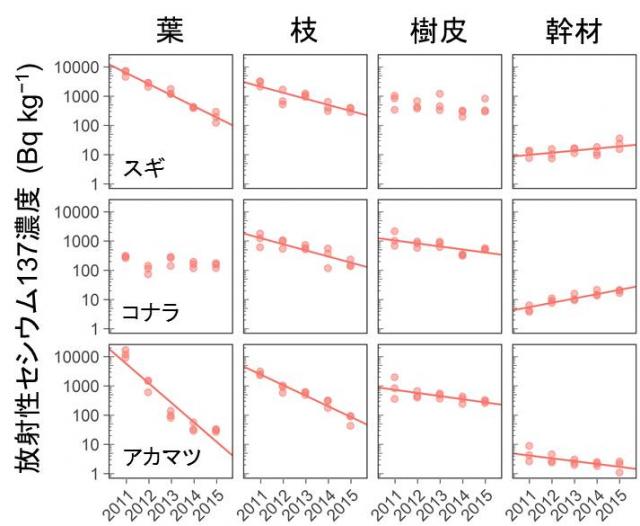 図2-樹木の各部位の放射性セシウム濃度の経年変化