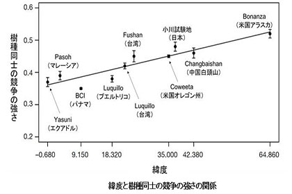 緯度と樹種同士の競争の強さの関係のグラフ