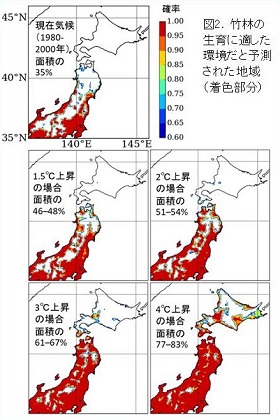 図2.竹林の生育に適した環境だと予測された地域（着色部分）の図