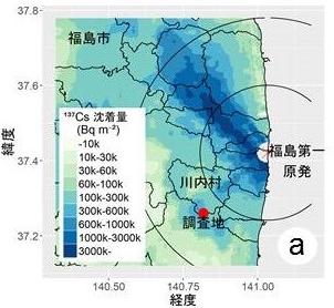 図1(a)福島県川内村調査地の位置の地図