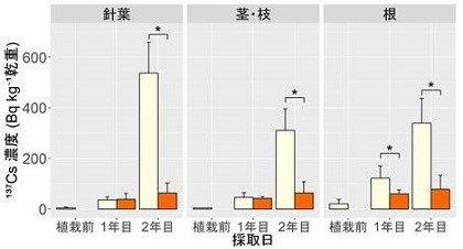 図3.ヒノキ苗木各部位の放射性セシウム137の濃度の推移
