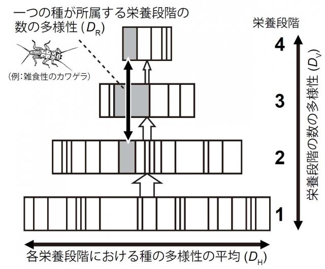 図1：D指標の図