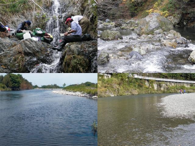 図2：水生無脊椎動物の食物網を構築した河川の写真