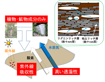 概要図（右：機能模式図とフィルムの断面構造模式図）