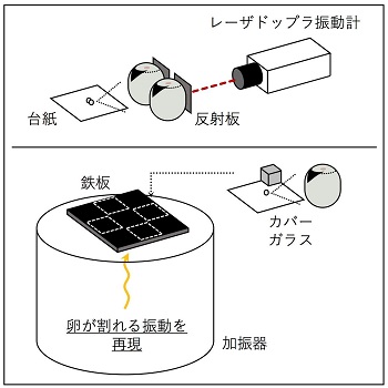 本研究の実験手法、参考図
