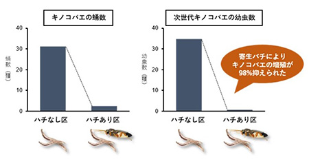 図3.寄生バチによるキノコバエの増殖抑制効果を示すグラフ