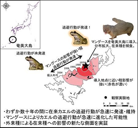 図2.研究の概要