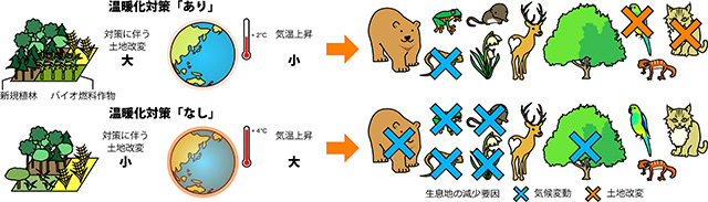 図1.温暖化対策「あり」と「なし」の生物多様性の損失程度を比較した図