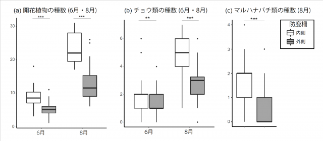 図2 防鹿柵内 (白色) と柵外 (灰色) の開花植物や昆虫などの種数の違いを示す図