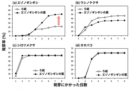 図3 エゾノギシギシ、シノケクサ、シロツメクサ、オオバコの種子についても同様の手順で発芽率の変化を調べた結果を示すグラフ