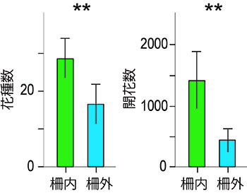 図2.防鹿棚を設置し、開花植物の種数と開花数を棚内外で比較したグラフ