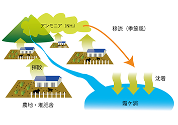 図4湖沼と隣接する畜産地帯との間に大気を介した循環を表す概念図