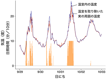 図3.  実を包む葉の有無による、実の周りの温度の違いを表すグラフ