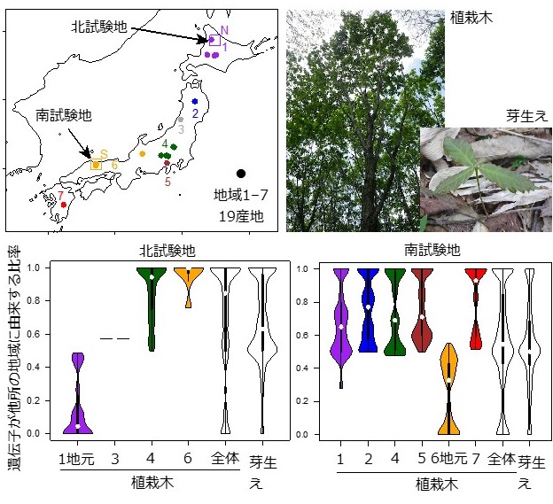 photo02:南北の試験地において植栽木の遺伝子型を比較した図